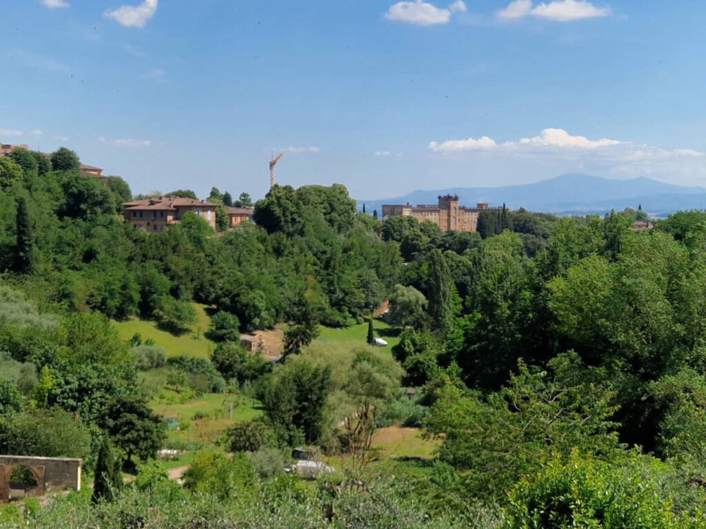 View of the Orto dei Pecci behind the greenery