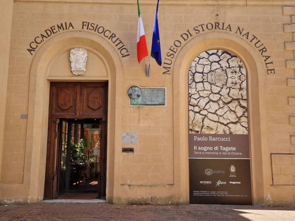View of the arches from the outside of Accademia dei Fisiocritici