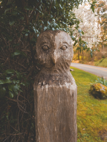 View of the owl statue at The Labyrinth Mosaic and Halls Hill Lookout