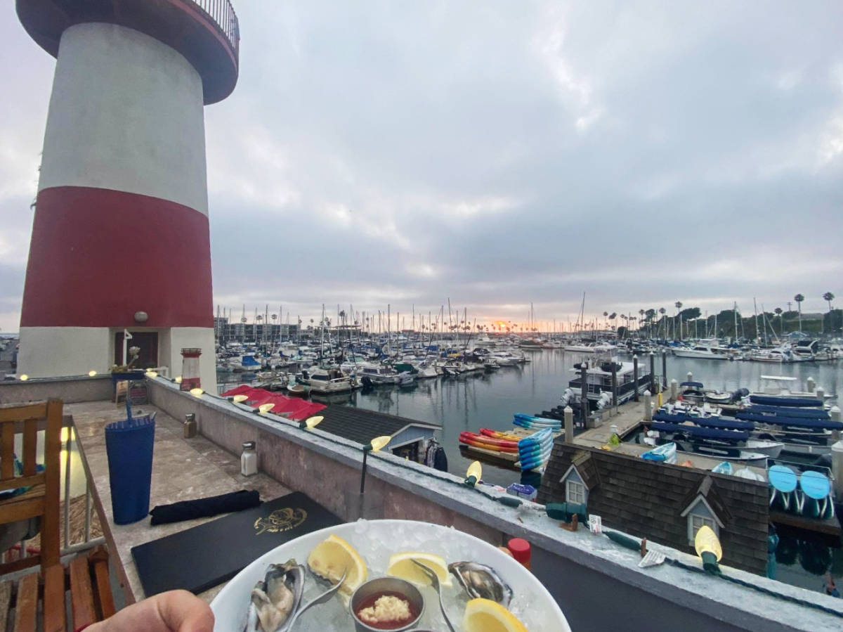 A plate of oyster and boats docked by Oceanside Harbor Village