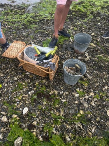 The oysters on the bucket and the bottles of wine on the basket