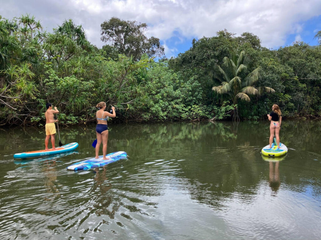 A group of friends paddle boarding on a river in Hawaii