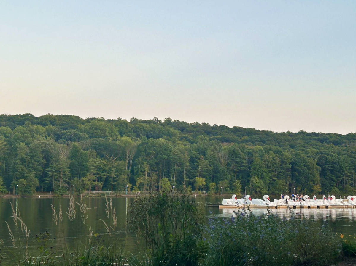 View of the paddle boats in the South Mountain Reservation
