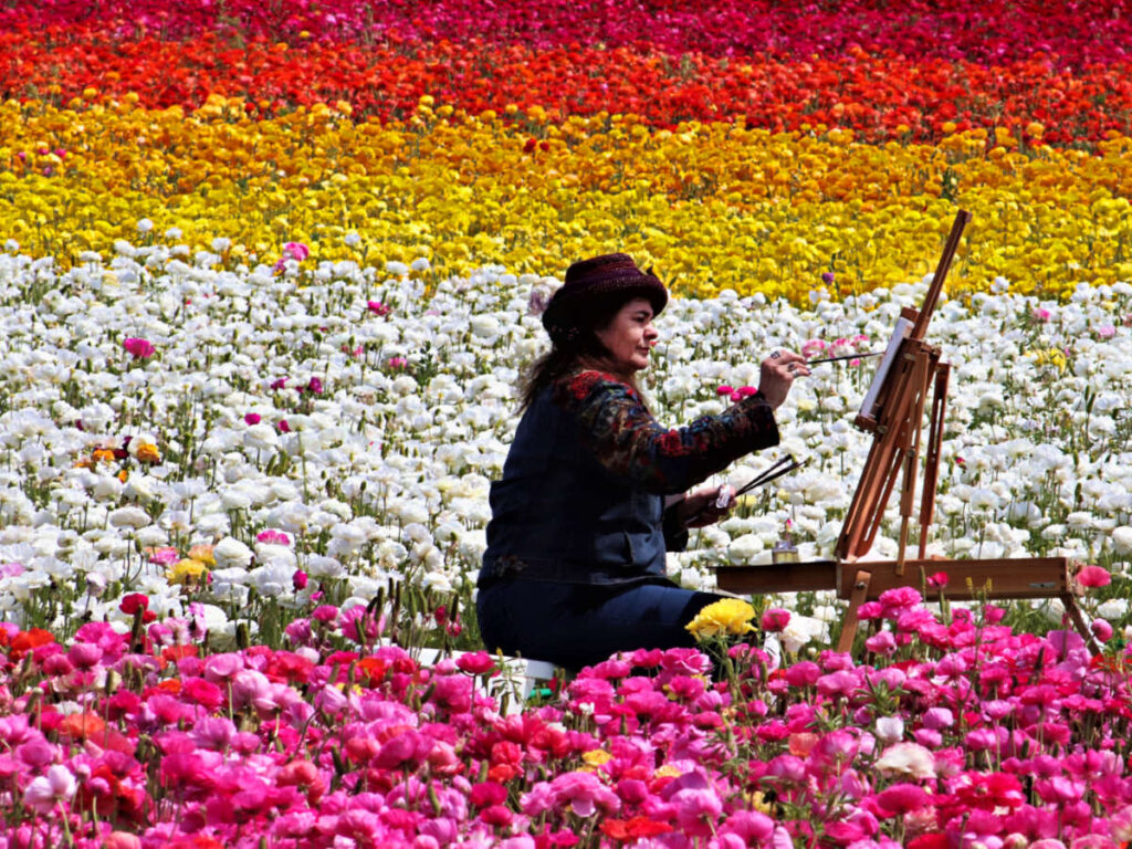 An artist painting in the Carlsbad Flower Fields
