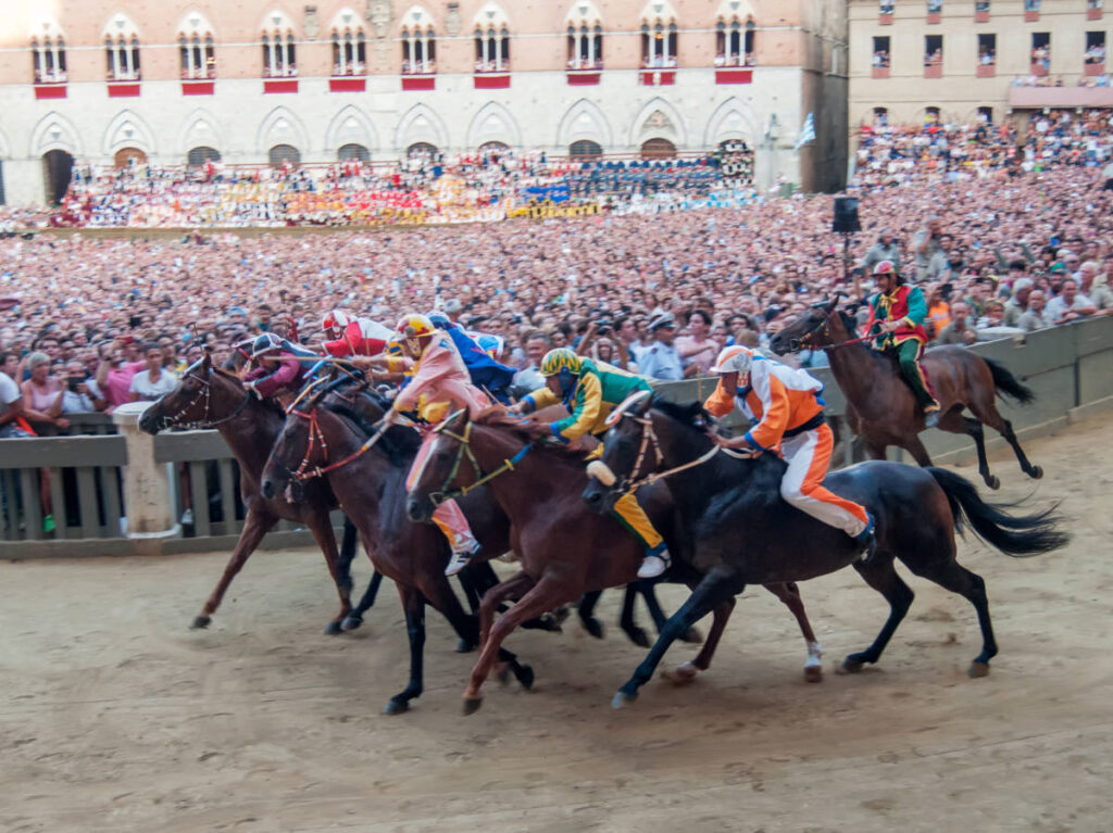 The crowd watching a horse race
