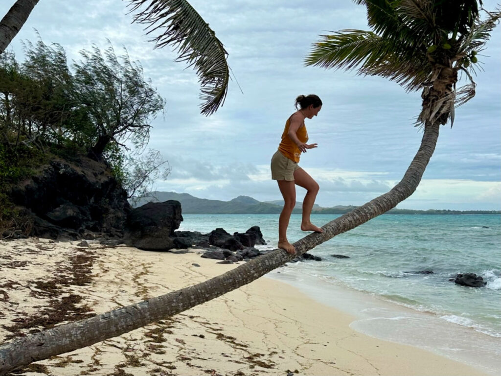 Author Laura climbing a palm tree in the Yasawa Islands
