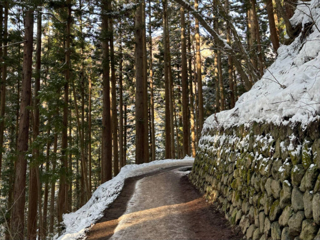 View of a path going to the Snow Monkey Park