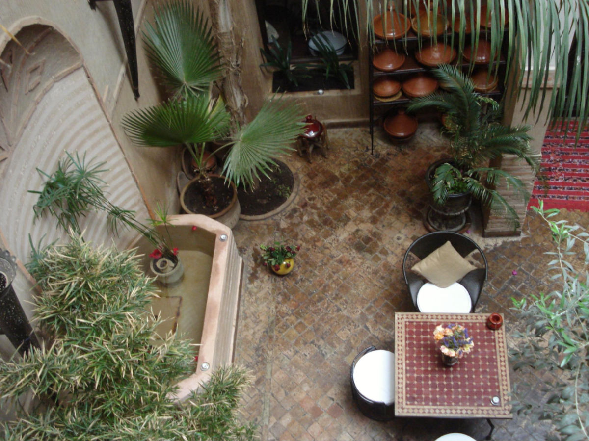 View of the leafy patio at Riad Carina seen from above