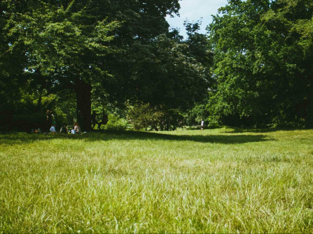 People chilling underneath the trees of Viktoriapark