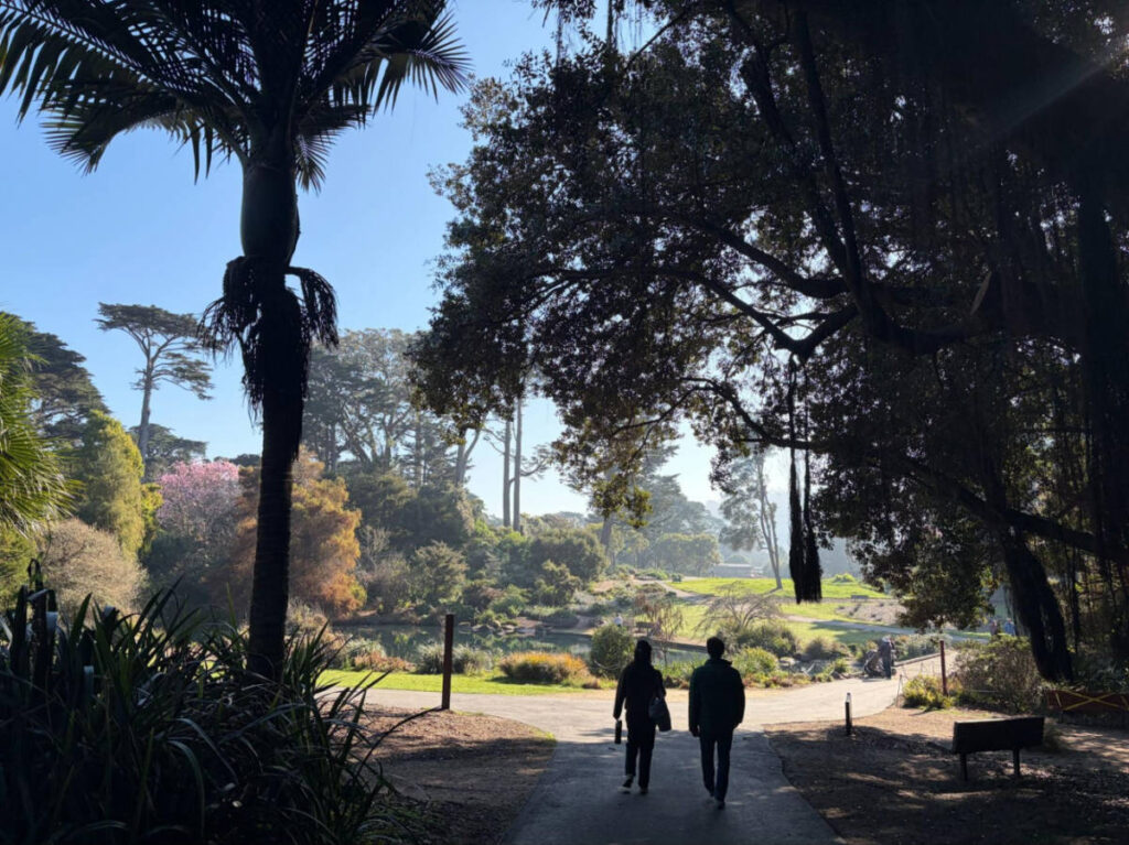 People walking around the shade at SF Botanical Garden