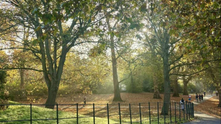 People walking at the park on a sunny day
