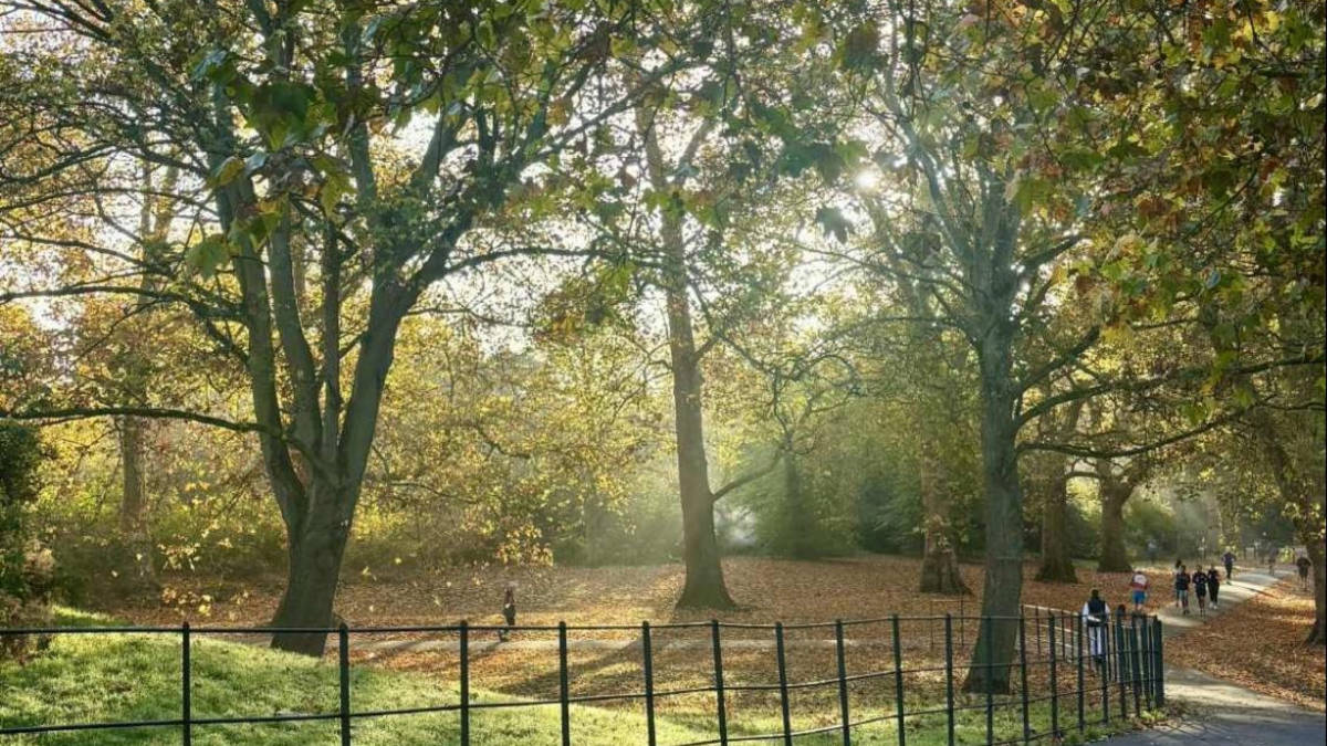 People walking at the park on a sunny day