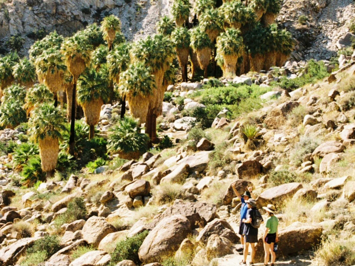 People admiring the landscape on the Fortynine Palms Oasis trail