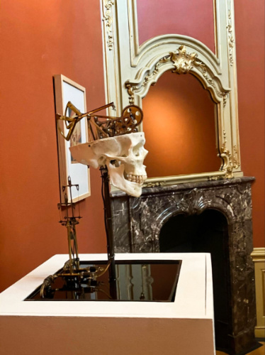 A skull with perpetual motion machine in the Escher Museum