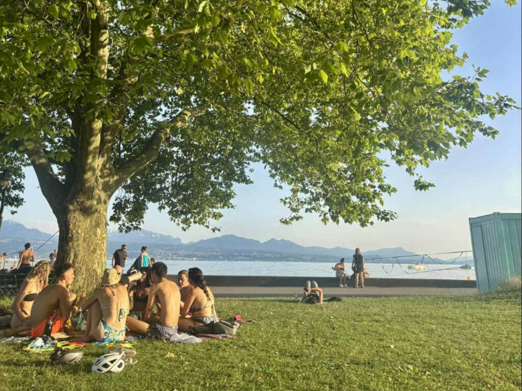 People enjoying the picnic under the tree near Lake Geneva