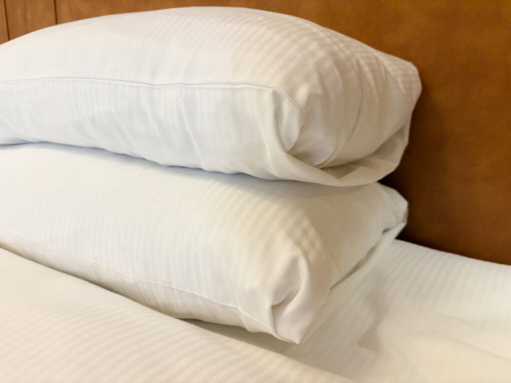 Closeup look of the pillows in Hilton Molino Stucky