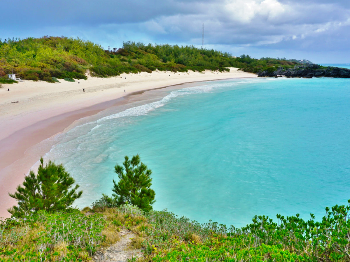 View of the pink sand beach in Bermuda during a sunny day