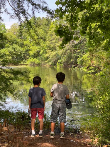 Two boys looking at the turtles in the Pond of San Antonio Botanical Garden