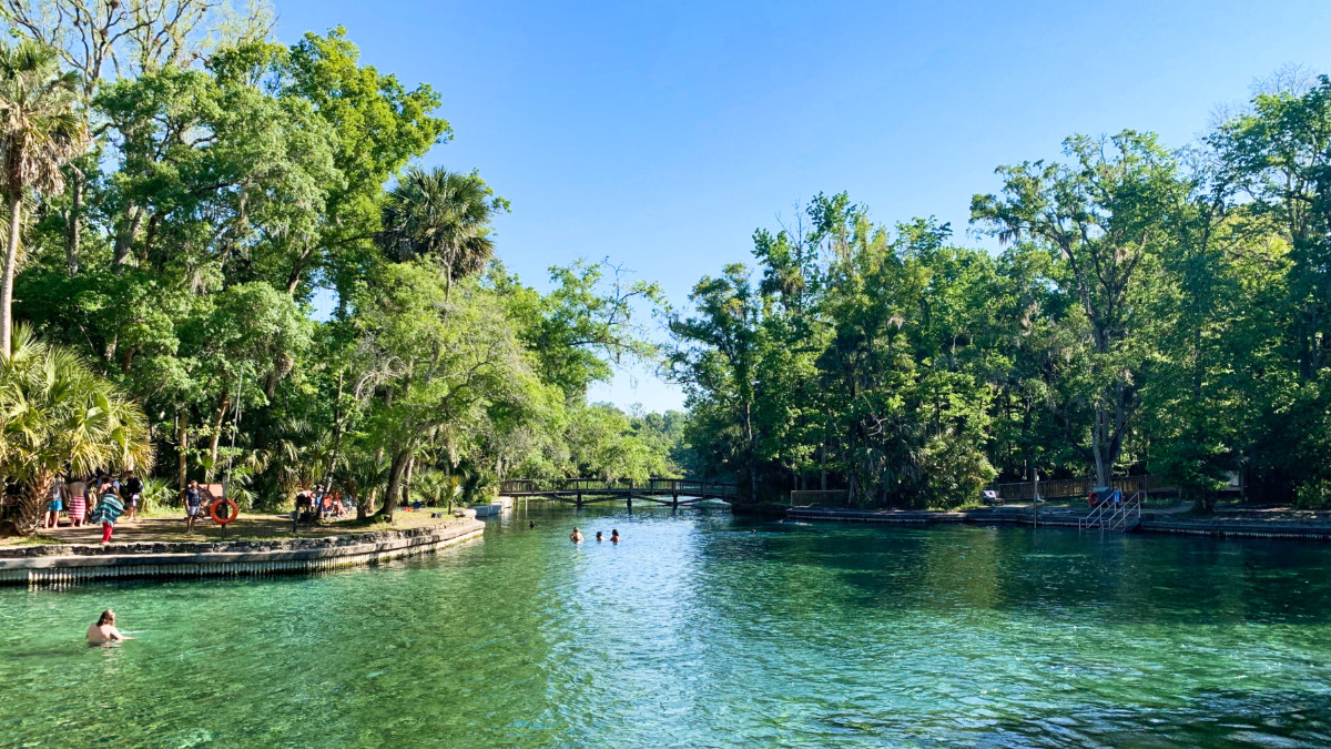 View of the people swimming on the pond in Wekiwa Springs State Park