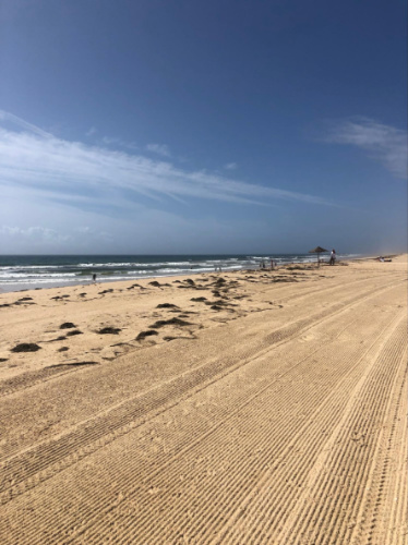 View of the vast shoreline at Praia da Ilha de Tavira
