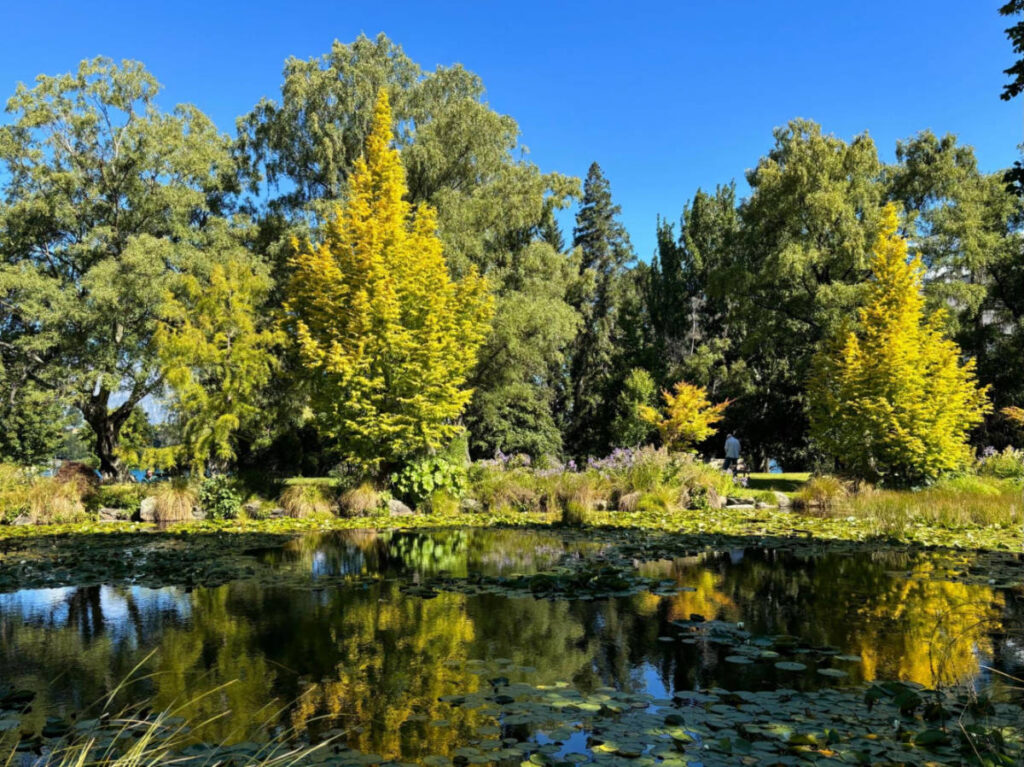 View of the greeneries at the Queenstown Gardens