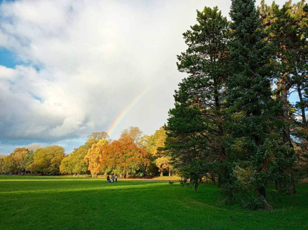 A rainbow over the fall foliage and vast greenery of Bute Park