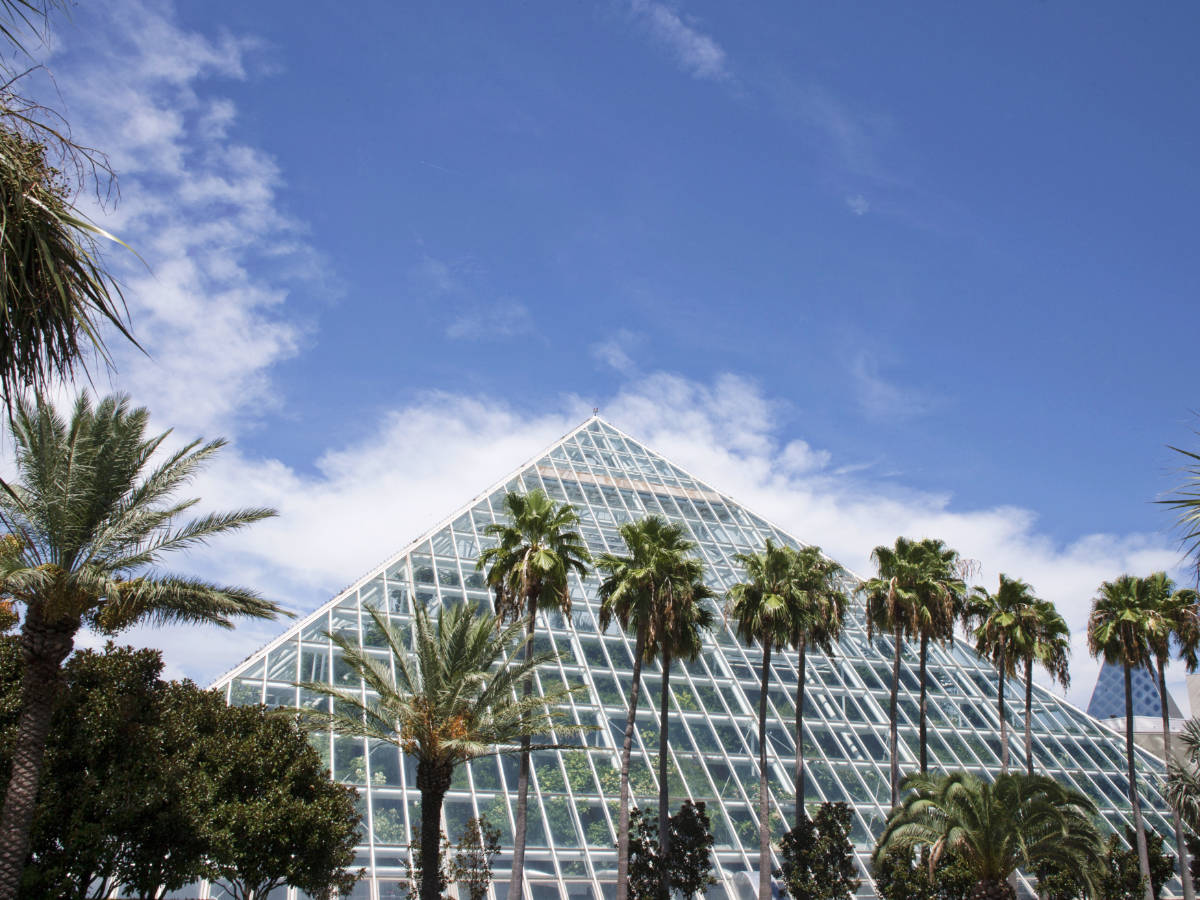 Blue sky over the Rainforest Pyramid at Moody Gardens