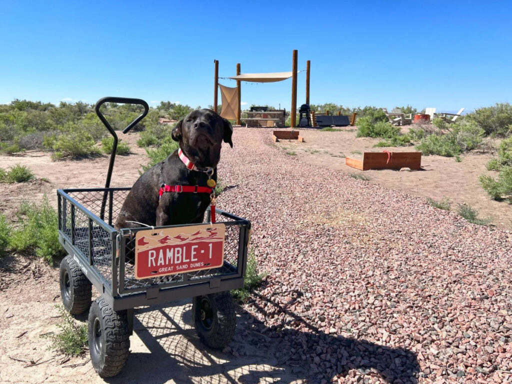 A dog at the Ramble campground