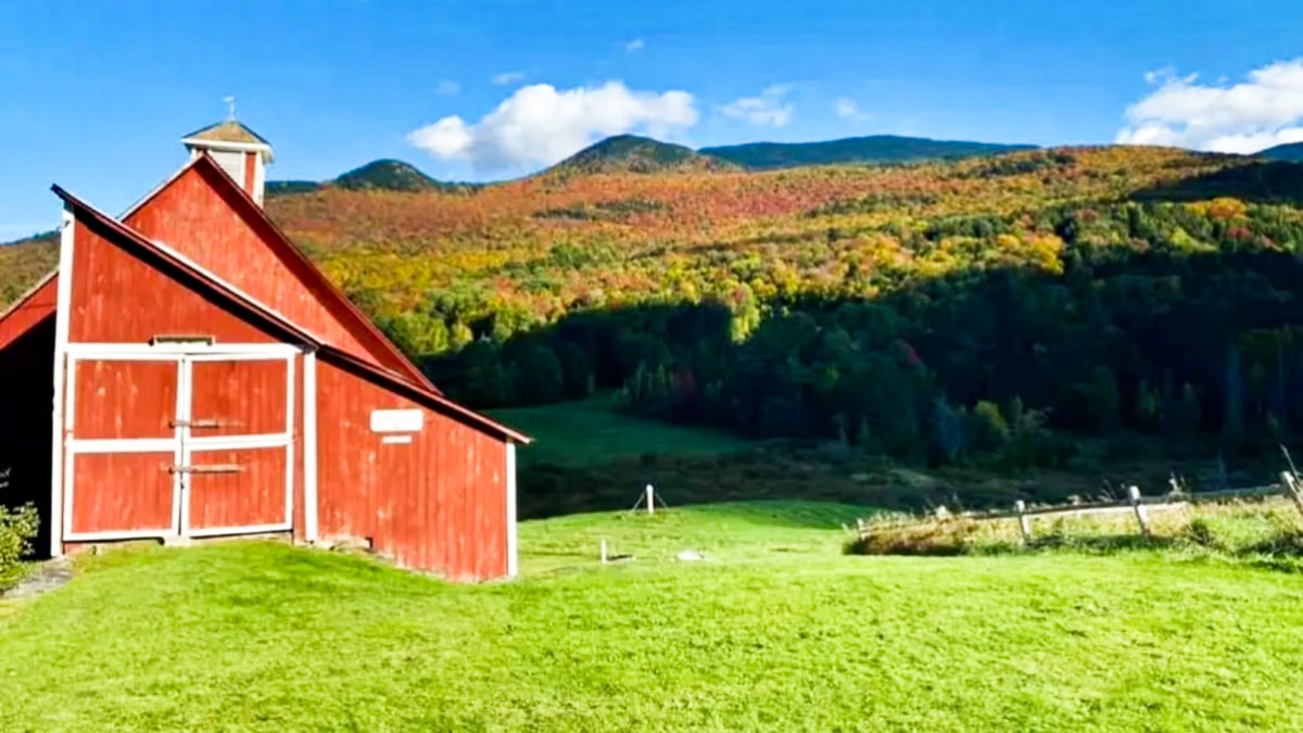 A red barn surrounded by lush greenery