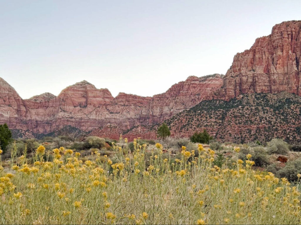 View of red rocks formation at Zion National Park