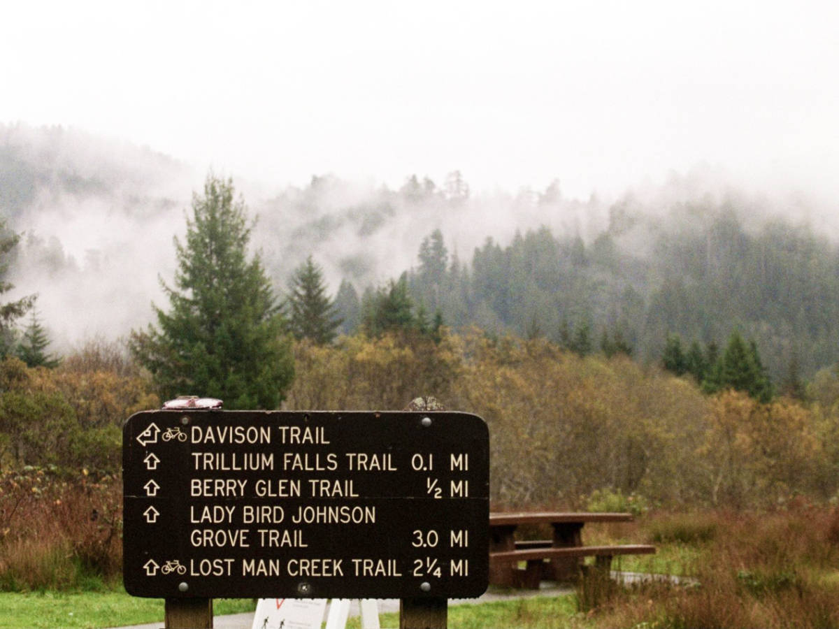 A signage of the directions of the trails in Redwood National Park on a foggy day