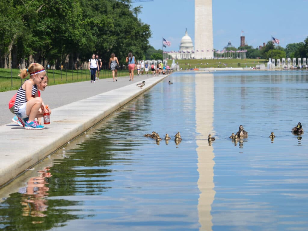 Children looking at the ducks on the reflecting pool in Washington DC