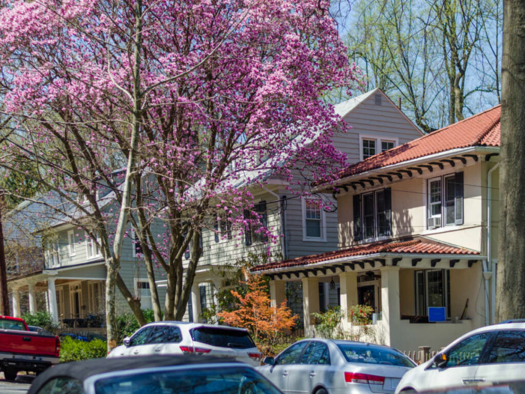 Houses and cars parked along the Residential streets in Woodley Park