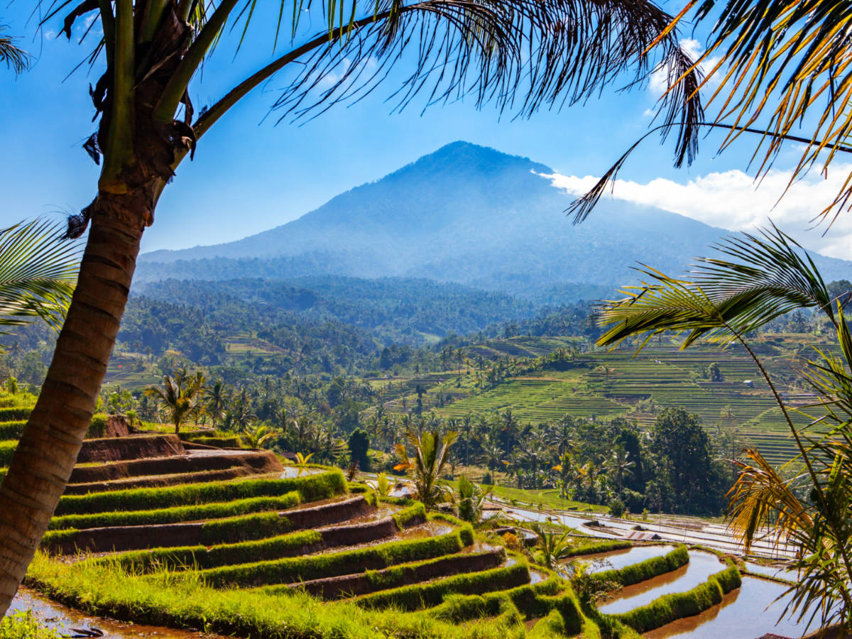 View of the Balinese rice terraces with the volcano in the background