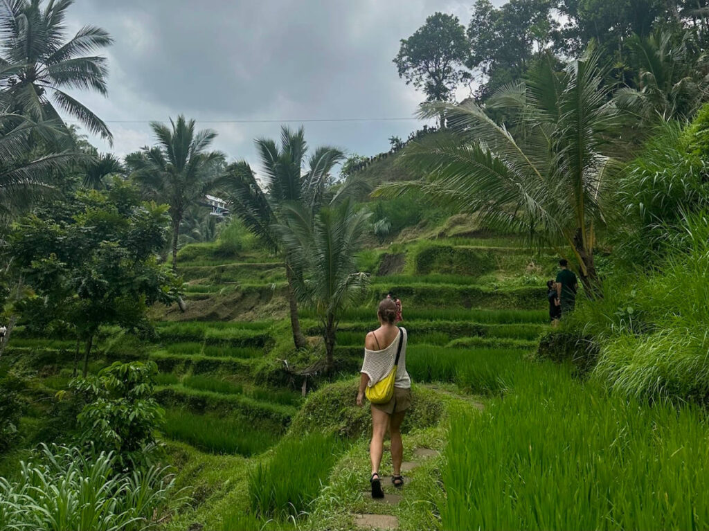 A person walking along the Rice terraces in Ubud