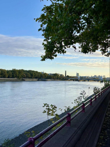 View of the river from the Battersea Park