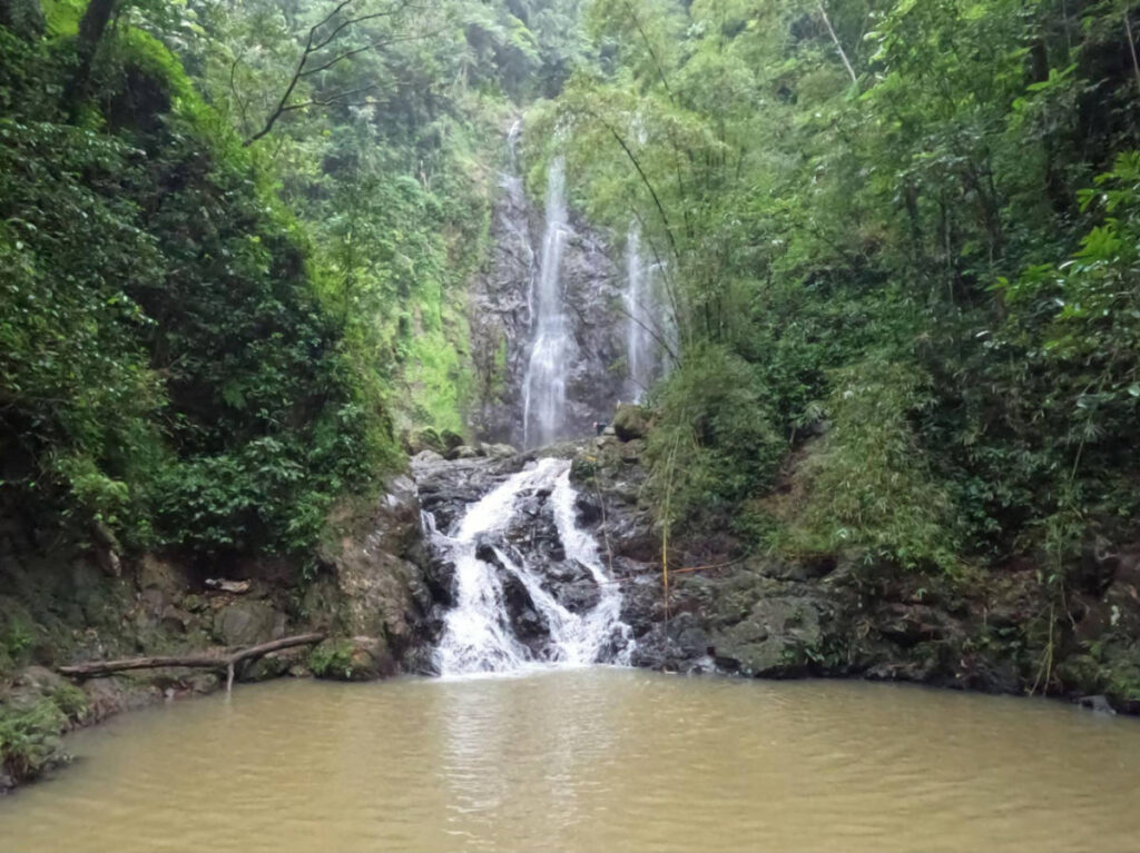 A waterfall cascades through the river, surrounded by greenery
