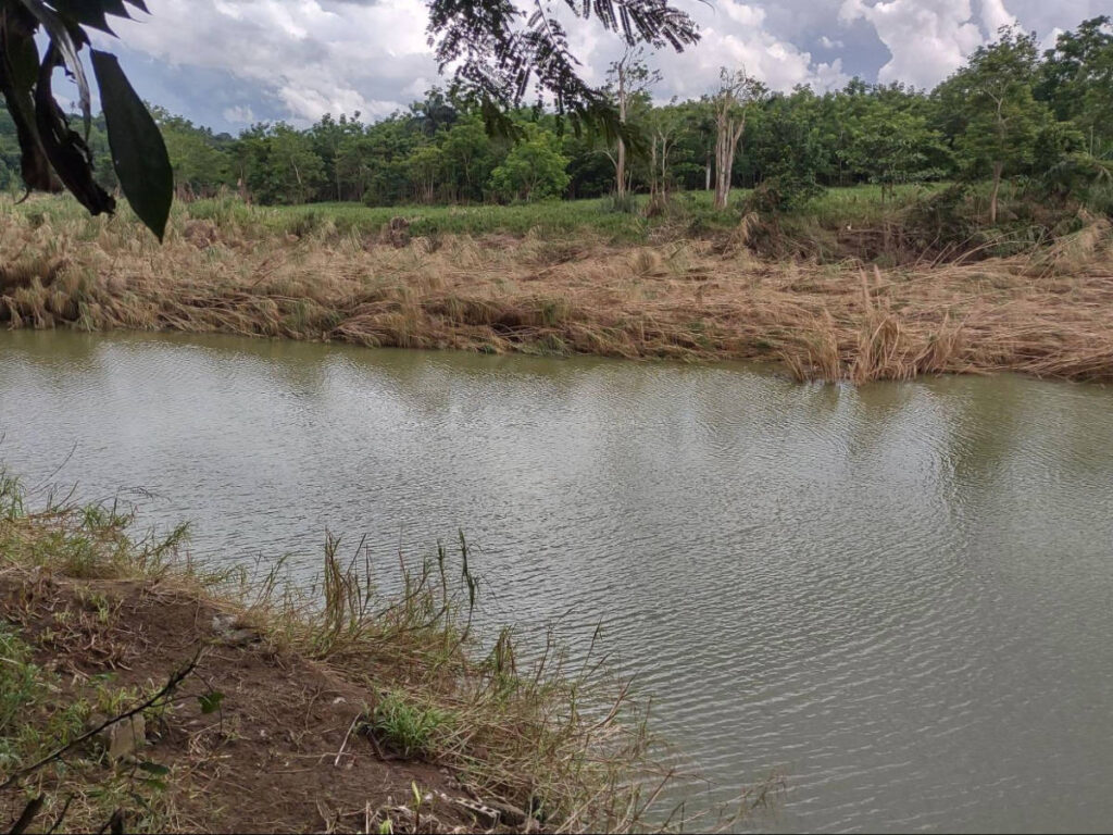 View of the riverbank after flooding by Hurricane Fiona