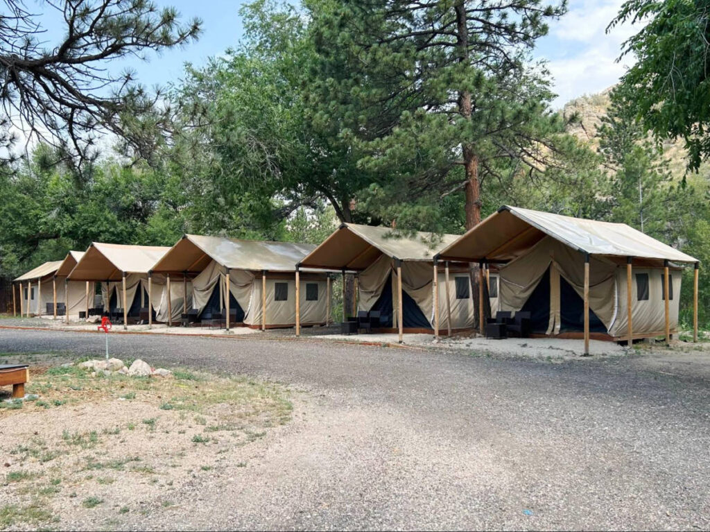 View of the lined glamping tents