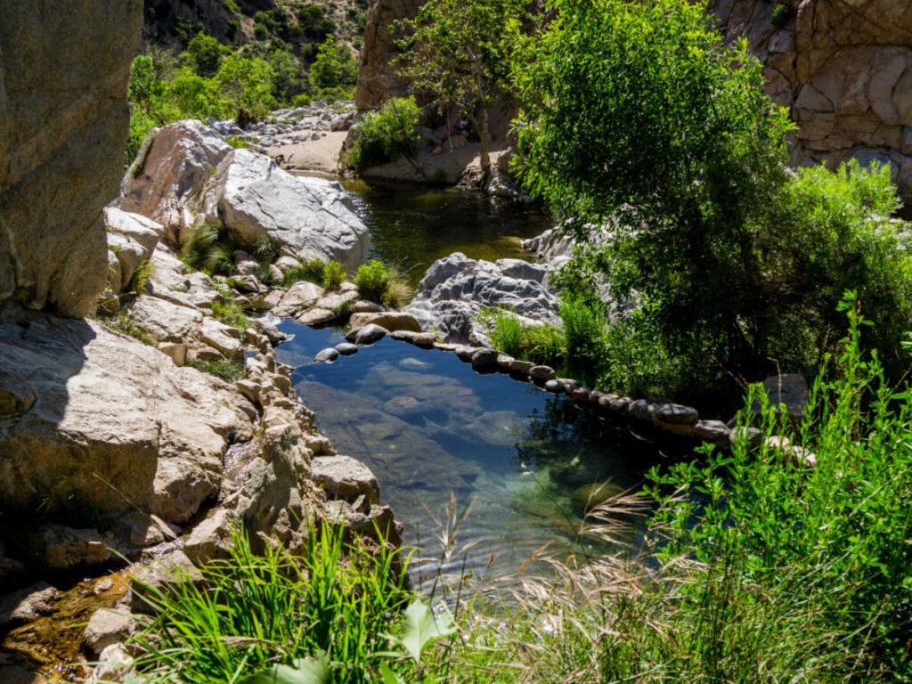 A hot spring surrounded with bushes and rocks