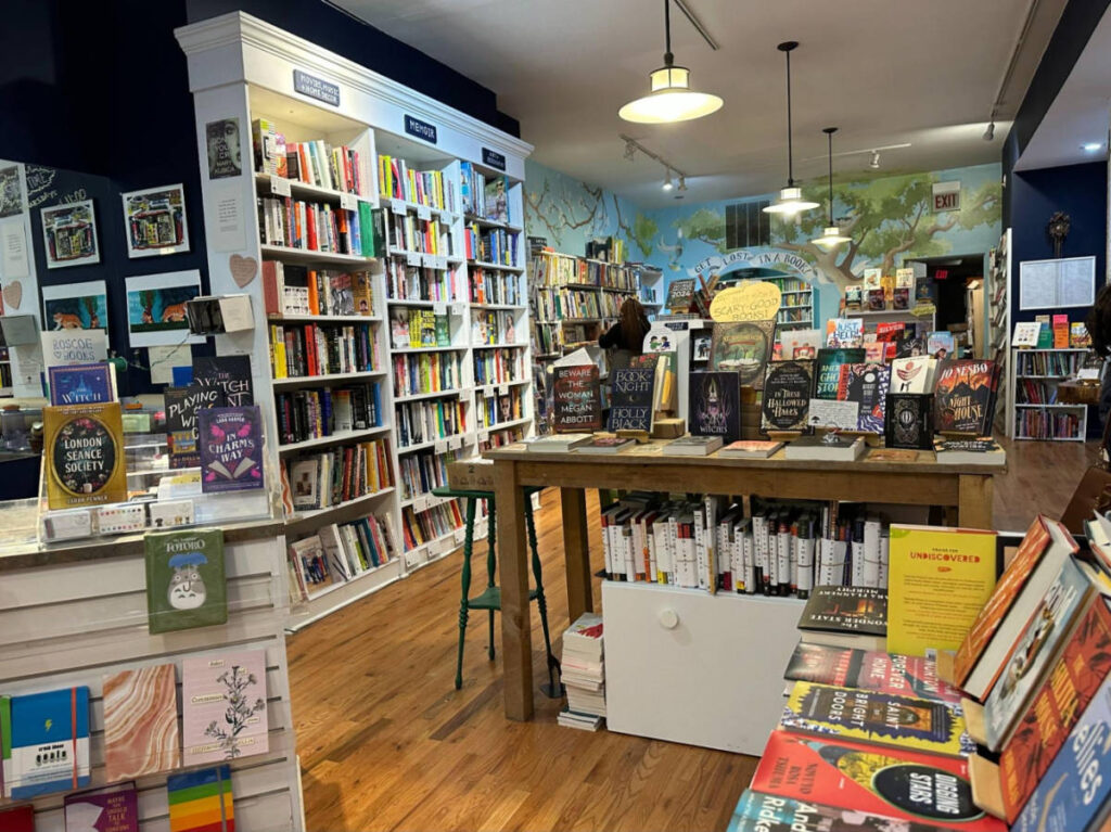 View of the displayed books inside Roscoe Books