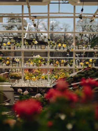 View of the flower vases at the garden shop of Rosendals Trädgård