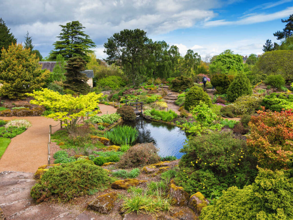 View of the lush greenery around Royal Botanic Garden