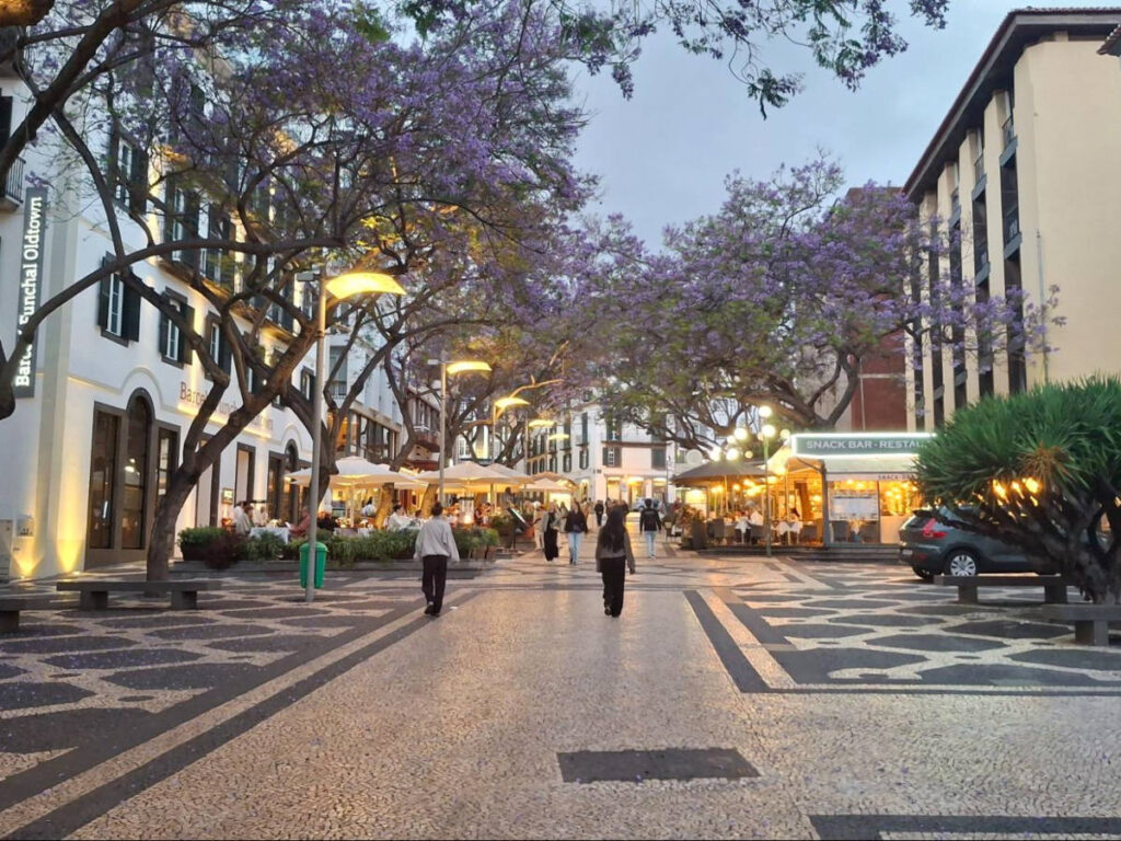 View of the people wandering at the Rua Doutor António José de Almeida at dusk