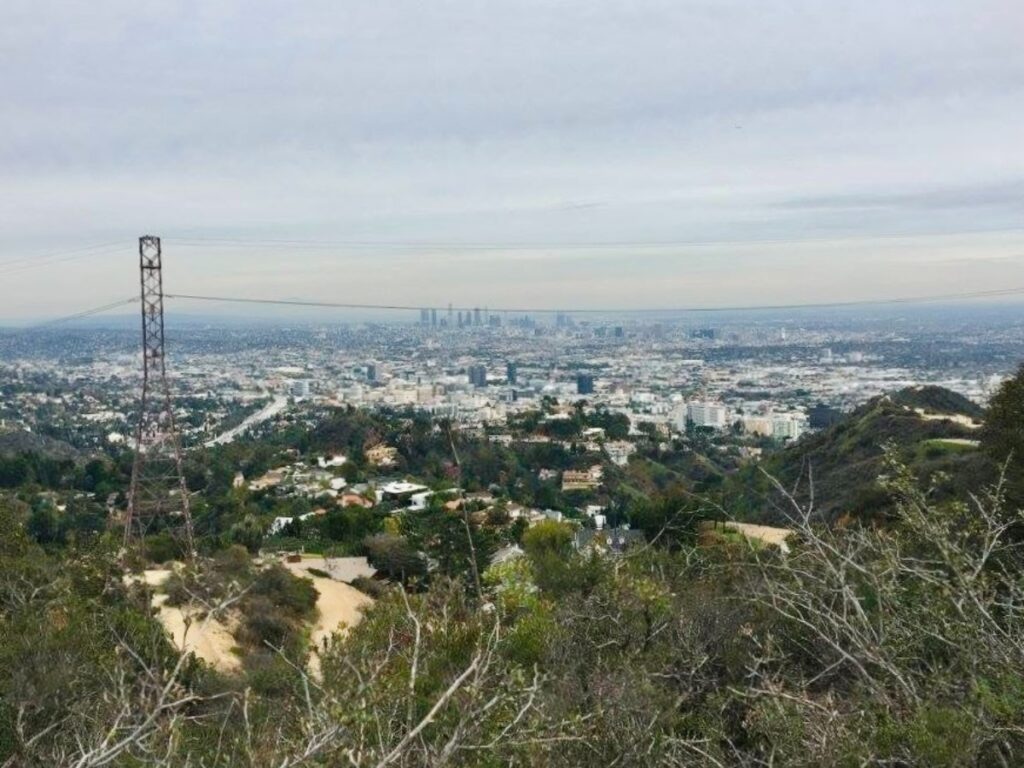 The city views from the top of a Runyon Canyon trail