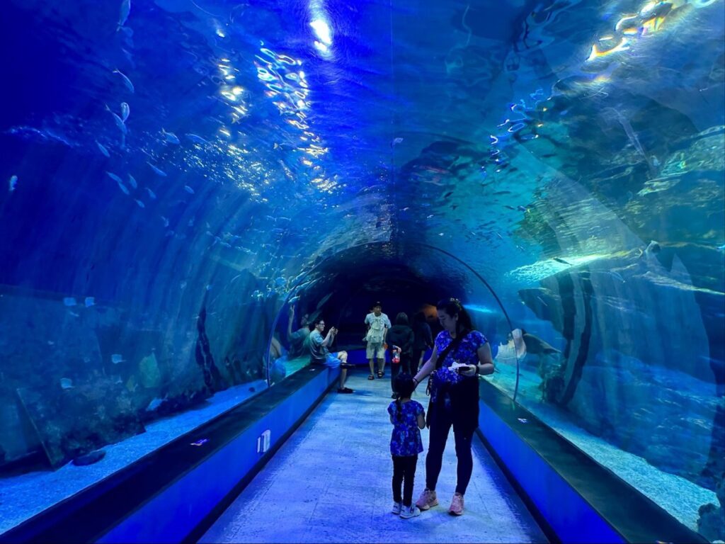 Families enjoying the day at the famous shark tunnel at SEALIFE Busan Aquarium