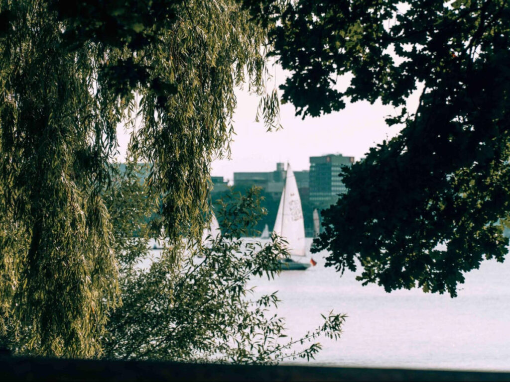 View of the sail boats on the Außenalster behind the foliage