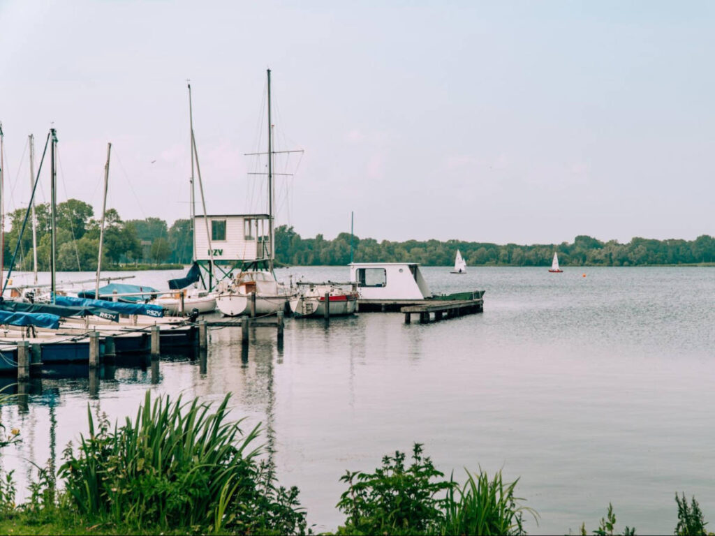 View of the sailboats on the Kralingse Plas