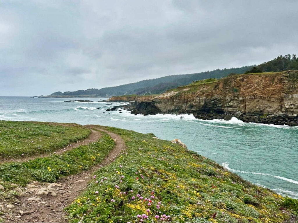 View of the cliffs from across the meadow in Salt Point State Park