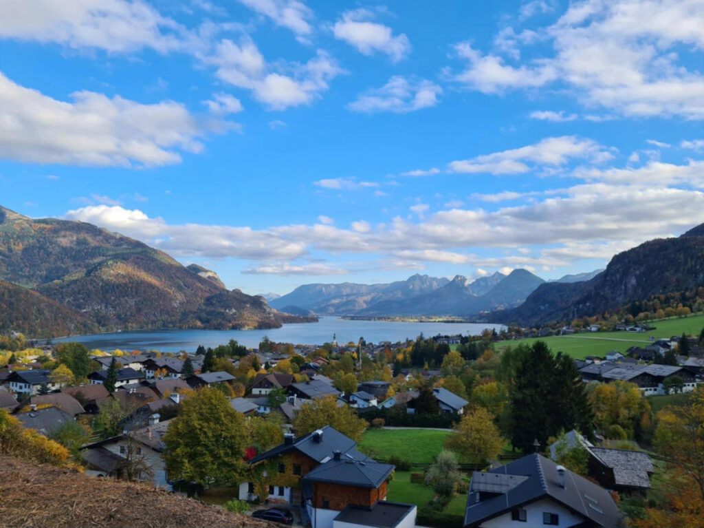 Overlooking view of the the greenery around the Salzkammergut by the lake